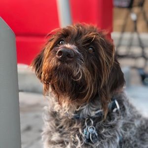 Meet your Posher, Jamie